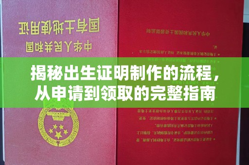 舒兰揭秘出生证明制作的流程，从申请到领取的完整指南